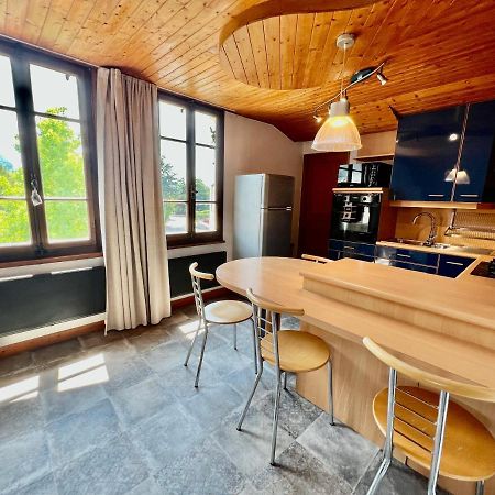 La Branche Du Cerisier Apartment Annecy Bagian luar foto