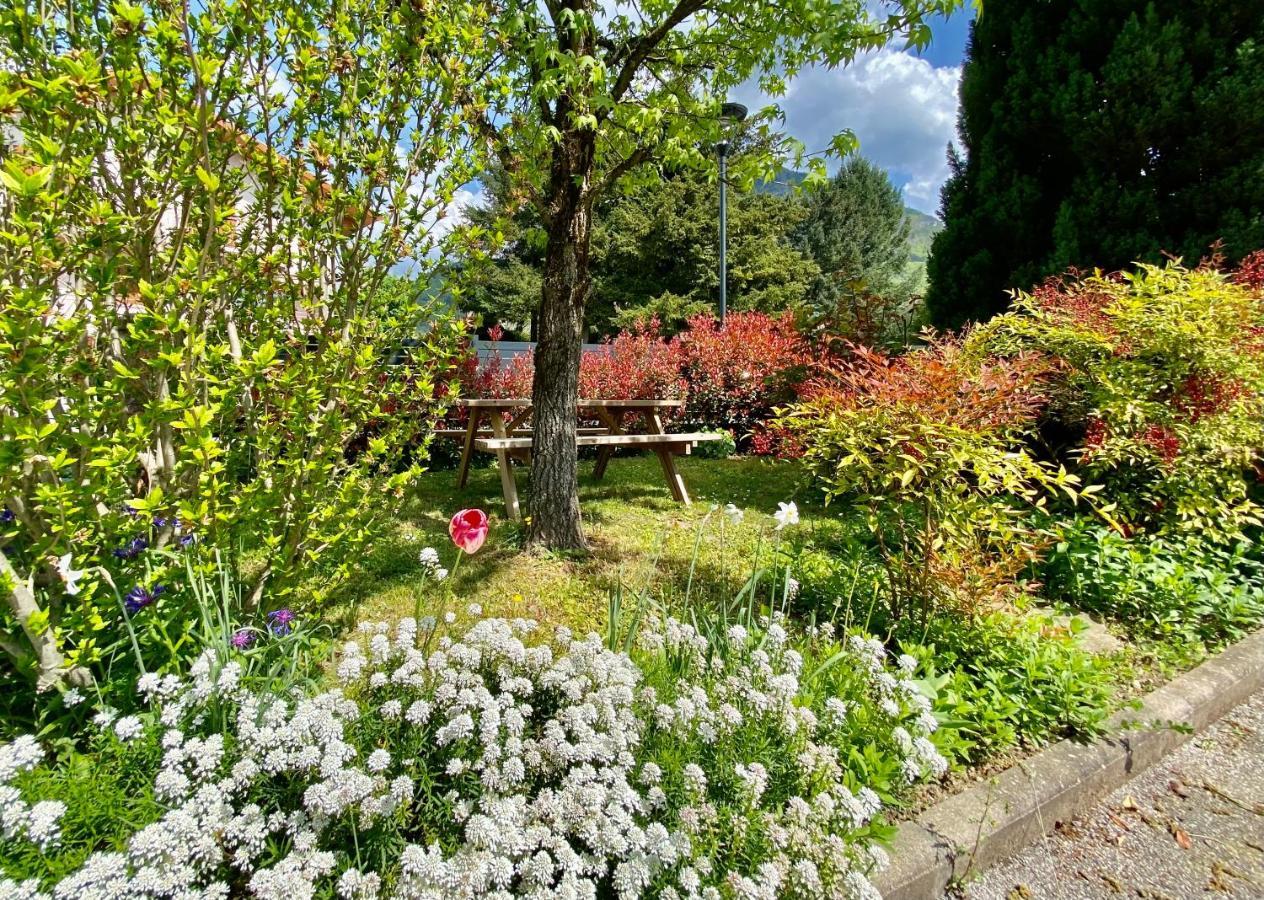 La Branche Du Cerisier Apartment Annecy Bagian luar foto