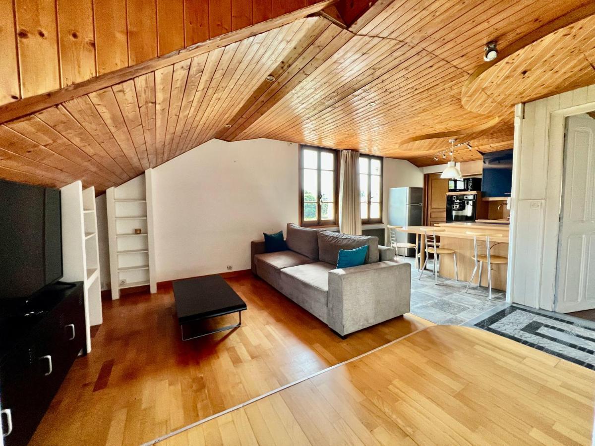La Branche Du Cerisier Apartment Annecy Bagian luar foto