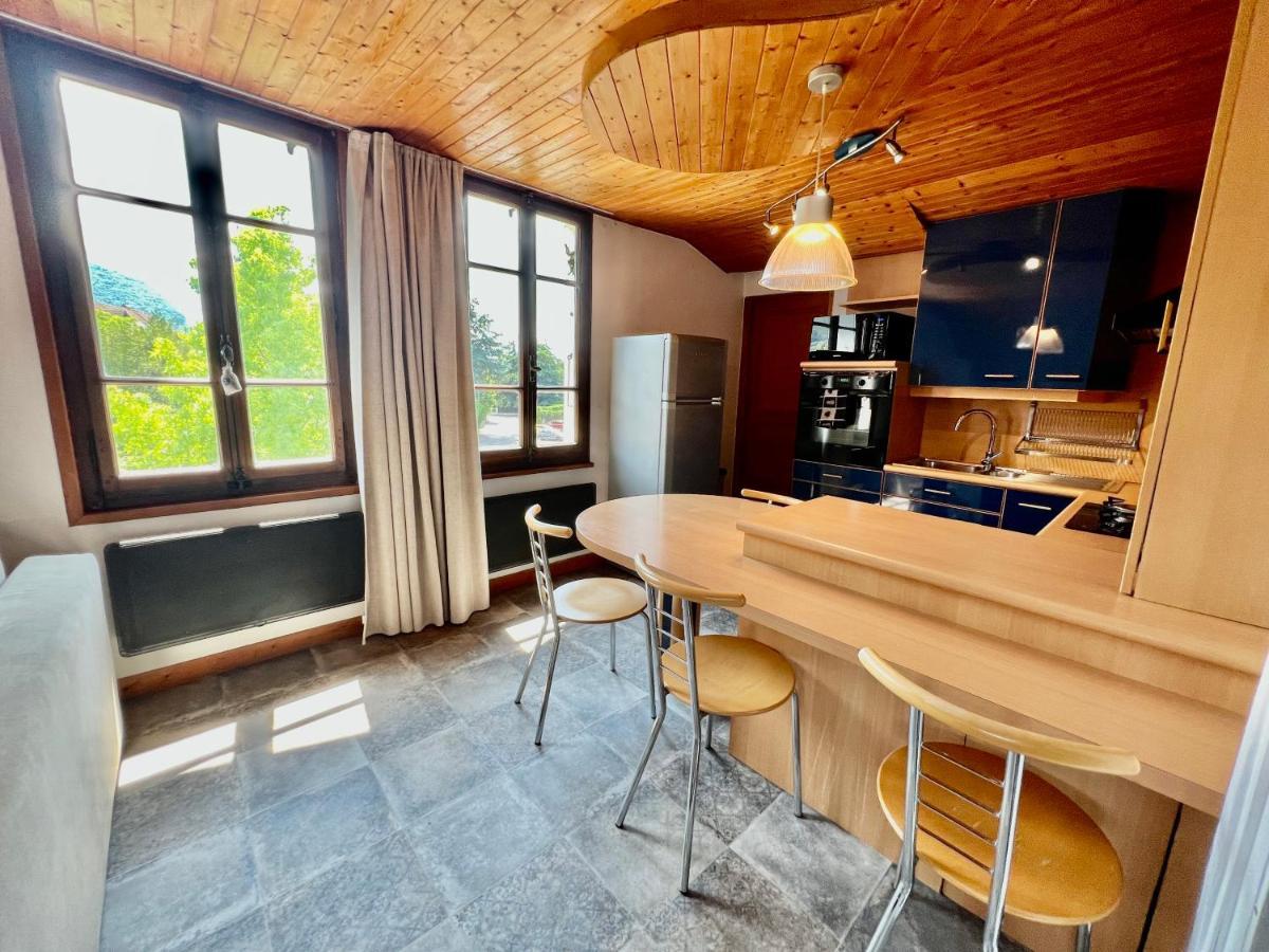 La Branche Du Cerisier Apartment Annecy Bagian luar foto
