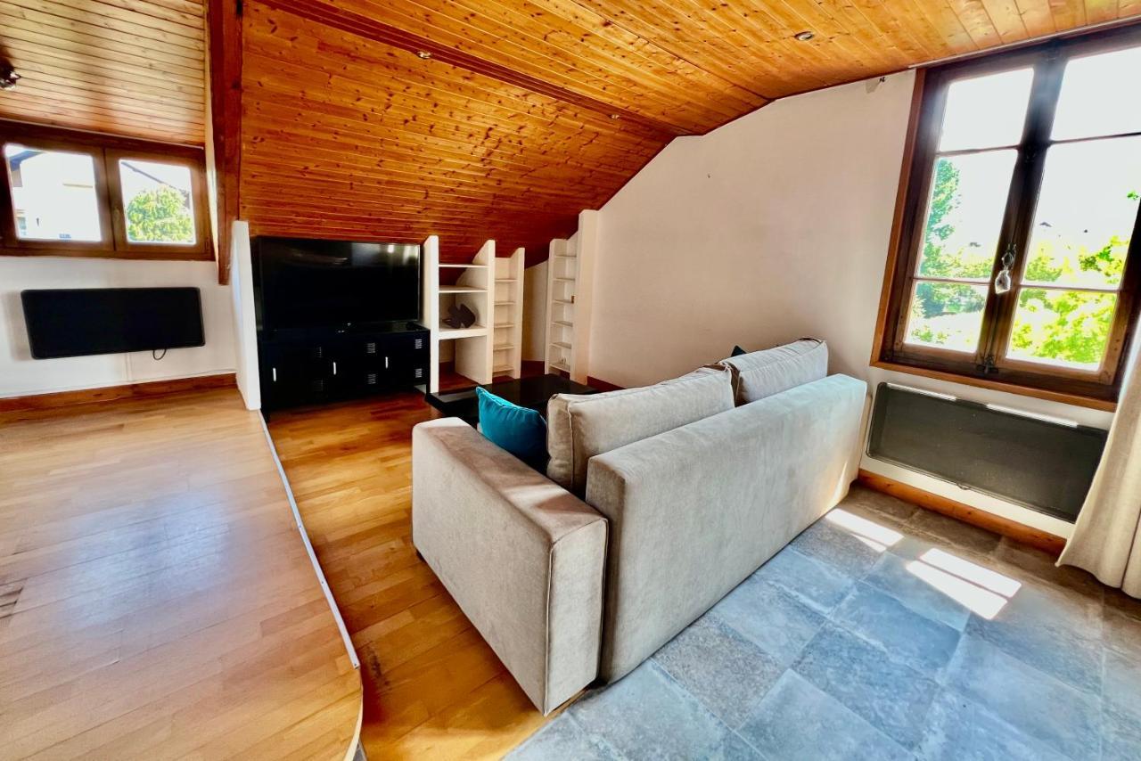 La Branche Du Cerisier Apartment Annecy Bagian luar foto